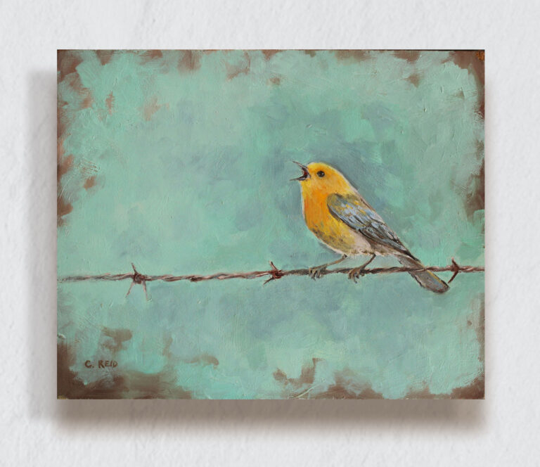 Yellow Finch perched on a barbed wire