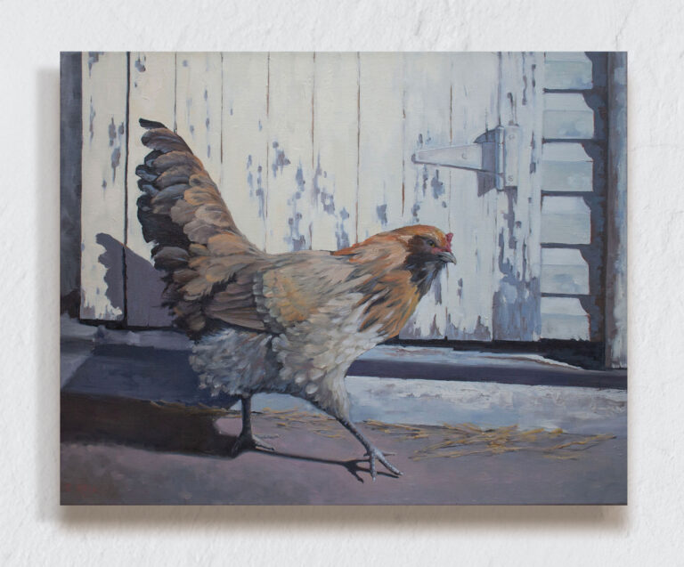 Morning Stroll, hen placing foot down in front of rough barn door