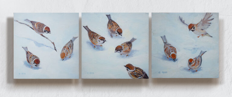 A scattering of sparrows picking up food from snow (triptych)