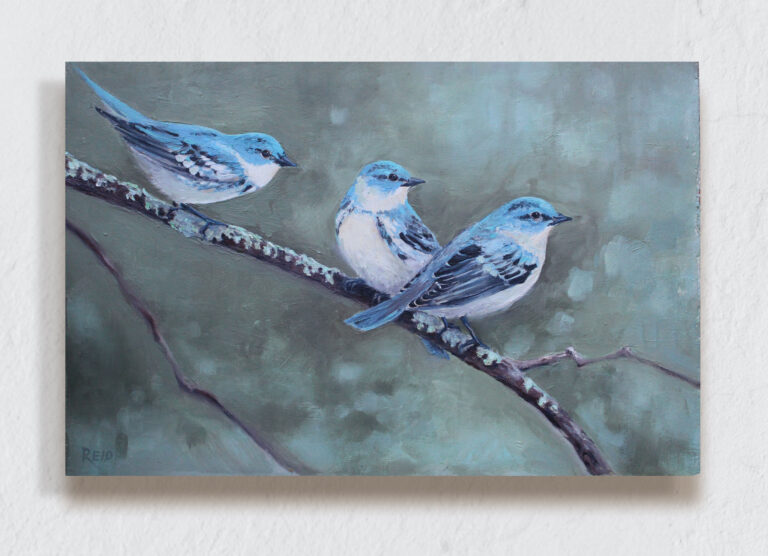 Three bluebirds on a mossy branch with dappled background