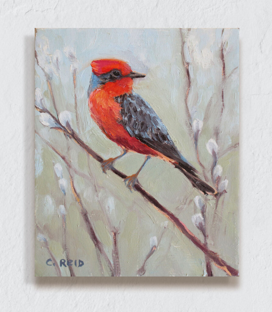 Vermilion Flycatcher perched on a branch surrounded by pussy willows.