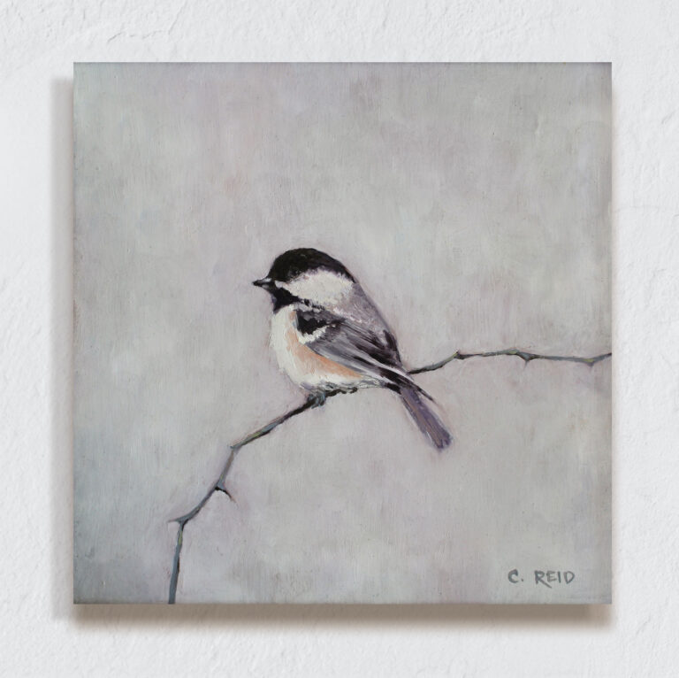 Chickadee perched on a branch