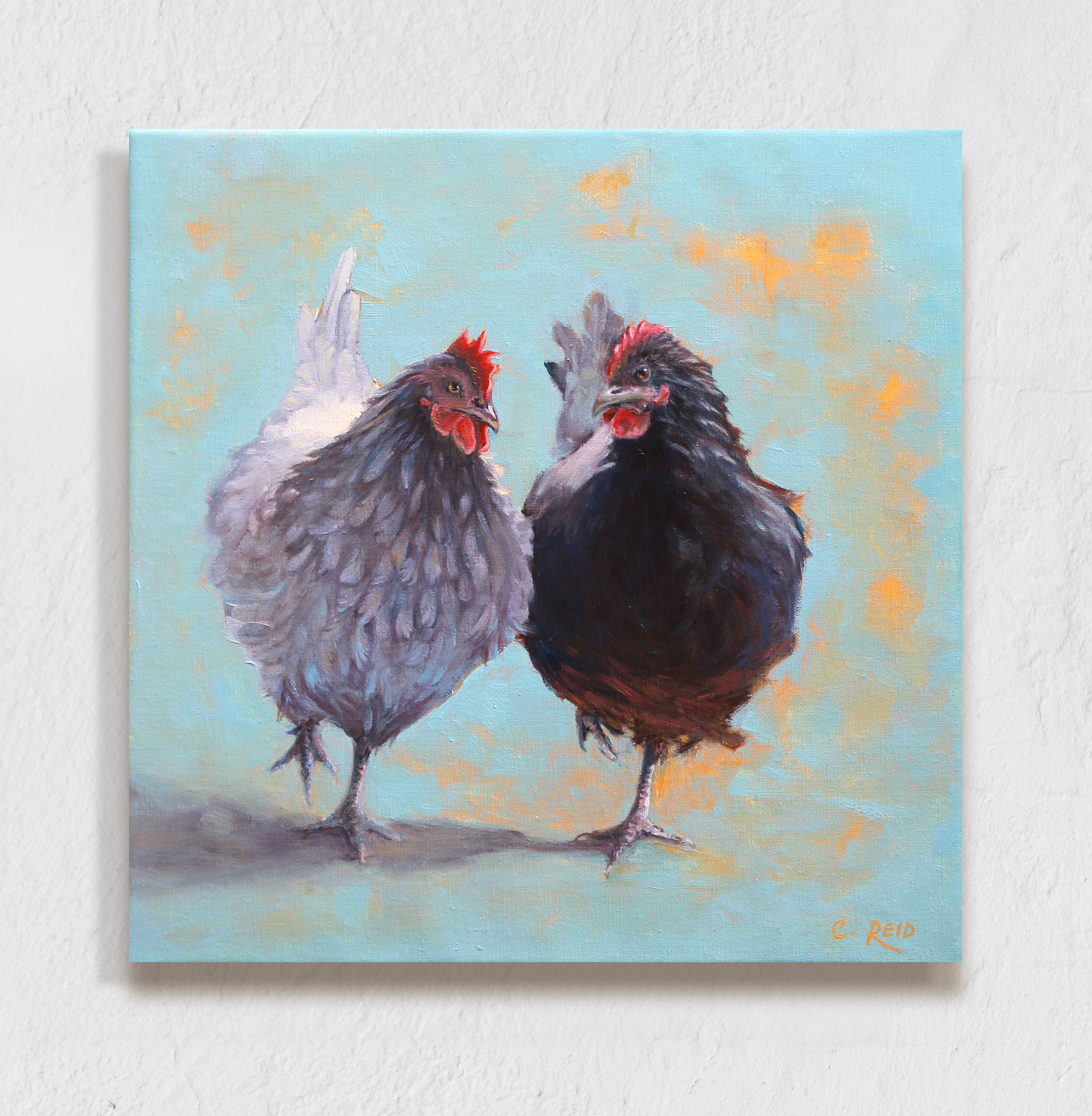 Two hens walking next to each other.